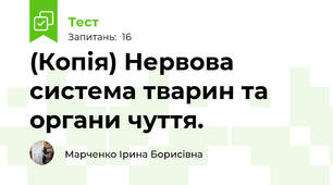 (Копія) Нервова система тварин та органи чуття.