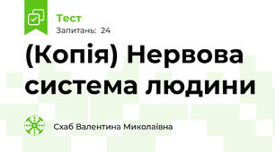 (Копія) Нервова система людини