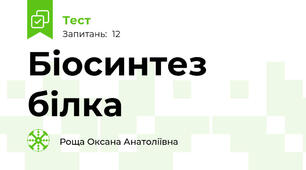 Біосинтез білка