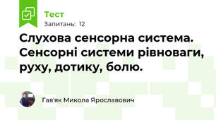 Слухова сенсорна система. Сенсорні системи рівноваги, руху, дотику, болю.