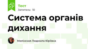Система органів дихання