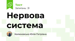 Нервова система