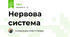 Нервова система
