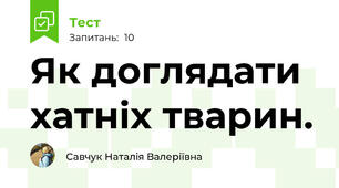 Як доглядати хатніх тварин.