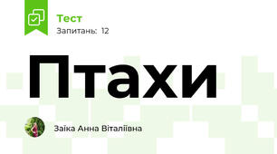 Птахи