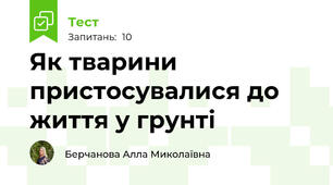 Як тварини пристосувалися до життя у грунті