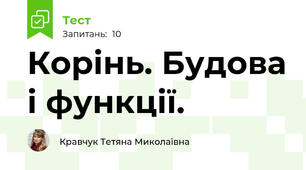 Корінь. Будова і функції.