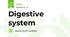 Digestive system