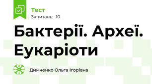 Бактерії. Археї. Еукаріоти 