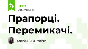 Прапорці. Перемикачі.