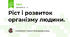 Ріст і розвиток організму людини.