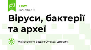 Віруси, бактерії та археї