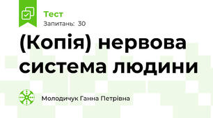 (Копія) нервова система людини