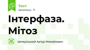 Інтерфаза. Мітоз