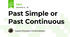Past Simple or Past Continuous