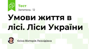 Умови життя в лісі. Ліси України