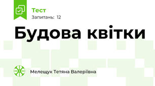 Будова квітки