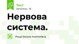 Нервова система.
