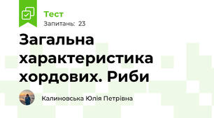 Загальна характеристика хордових. Риби