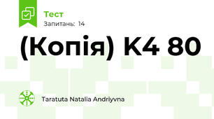 (Копія) K4 80