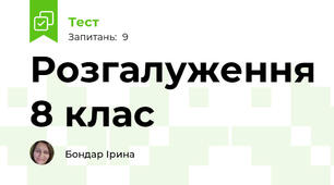 Розгалуження 8 клас