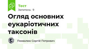 Огляд основних еукаріотичних таксонів