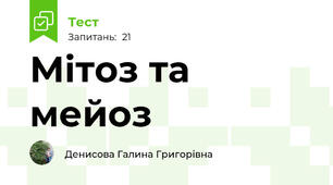 Мітоз та мейоз