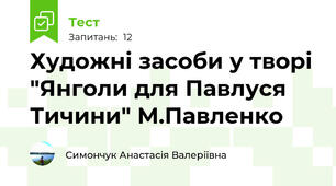 Художні засоби у творі "Янголи для Павлуся Тичини" М.Павленко