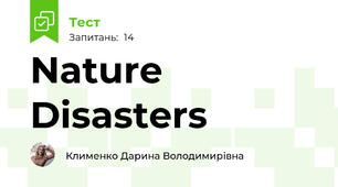 Nature Disasters