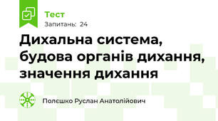 Дихальна система, будова органів дихання, значення дихання