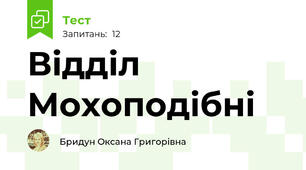 Відділ Мохоподібні