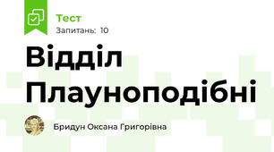 Відділ Плауноподібні
