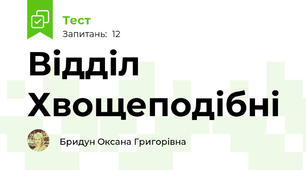 Відділ Хвощеподібні