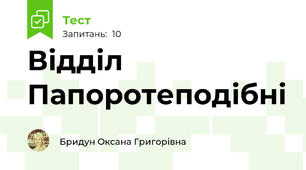 Відділ Папоротеподібні