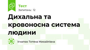 Дихальна та кровоносна система людини