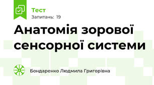 Анатомія зорової сенсорної системи