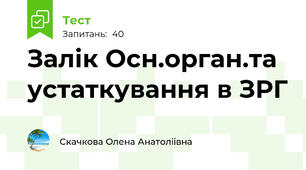 Залік Осн.орган.та устаткування в ЗРГ