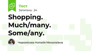 Shopping. Much/many. Some/any.