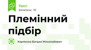 Племінний підбір