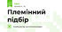 Племінний підбір