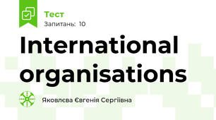 International organisations