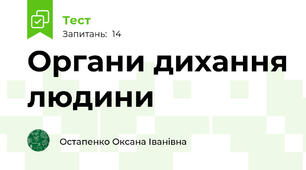 Органи дихання людини