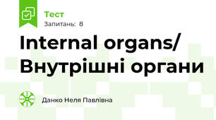 Internal organs/ Внутрішні органи