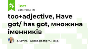 too+adjective, Have got/ has got, множина іменників