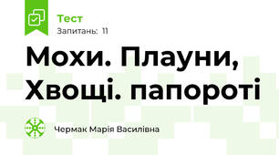 Мохи. Плауни, Хвощі. папороті