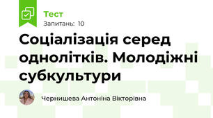 Соціалізація серед однолітків. Молодіжні субкультури