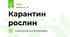 Карантин рослин