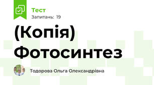 (Копія)  Фотосинтез