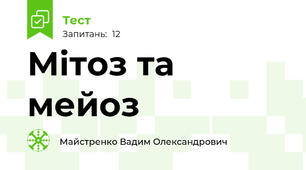 Мітоз та мейоз