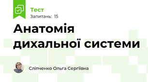Анатомія дихальної системи
